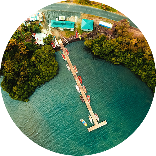 PKF St. Lucia
